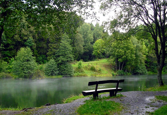 Příroda, jezero, lavička